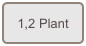 1,2 Plant